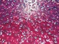 Resumen elaboraci&oacute;n, sofos 2007